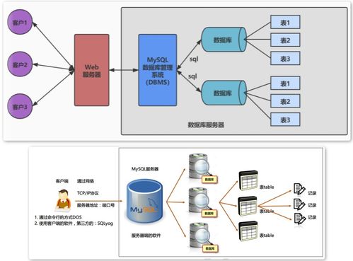 第01章 數(shù)據(jù)庫概述